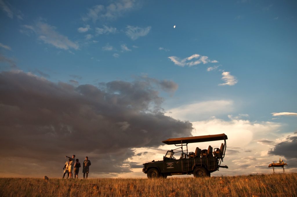 Trips that make an Impact: Conservation & Wildlife